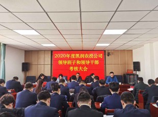 臨夏州凱潤農(nóng)牧投資發(fā)展集團(tuán)有限公司 召開2020年度領(lǐng)導(dǎo)班子和領(lǐng)導(dǎo)干部考核大會(huì)