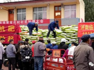 東西協(xié)作·真情幫扶 濟(jì)南市國(guó)資委、山東澳利集團(tuán)公司（濟(jì)南澳利新型肥料有限公司）為臨夏州捐贈(zèng)128噸有機(jī)肥料